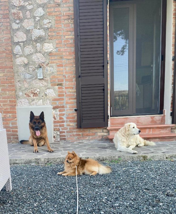 Casa Vacanze Arcobaleno Grosseto Exterior foto